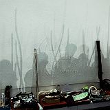 StageALK 20260124 160.jpg